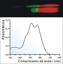 Região espectral transmitida por uma solução de solução etanólica (amarela) de fluoresceína 10-5 molar e o respectivo espectro de absorção.(Fonte: Site da Profa. Deborah H. M. Bastos)