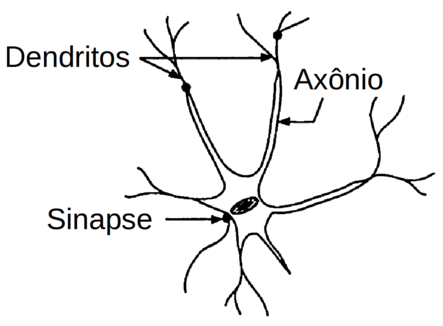 Modelo simplificado de um neurônio (Fonte: Applications of artificial intelligence in chemistry, 1993)