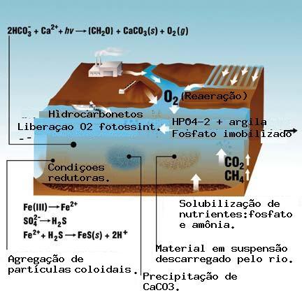 Alguns exemplos de processos químicos que ocorrem em água de superfície. (Fonte: Água - O que determina a sua Qualidade?)