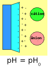 Superfície da caolinita em pH = pH0