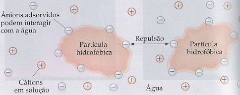 Colóide Hidrofóbico (Fonte: bioquimica.fffcmpa.edu.br)