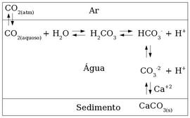 Exemplo de um Modelo Conceitual ilustrando os equilíbrios envolvidos na dissolução de CO2 entre os compartimentos atmosfera, água e sedimento. (Fonte: Análise da Água)