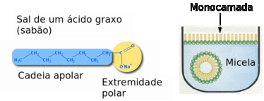 À esquerda a estrutura de uma molécula de sabão e de um detergente sintético (Alquil sulfonato linear)(Fonte: www.ucs.br) e à direita o modelo de micelas esféricas (Fonte: quimicalibertador.blogspot.com)
