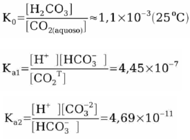 Exemplo de um Modelo Matemático com as equações de equilíbrio que permitem o cálculo das espécies geradas pela dissolução de CO2 nos compartimentos atmosfera, água e sedimento.(Fonte: Análise da Água)